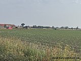 Zandlemig Vlaanderen